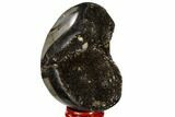 Septarian Dragon Egg Geode - Black Crystals #118731-2